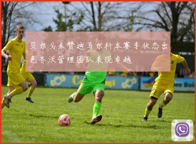 贝尔戈米赞迪马尔科本赛季状态出色齐沃管理团队表现卓越